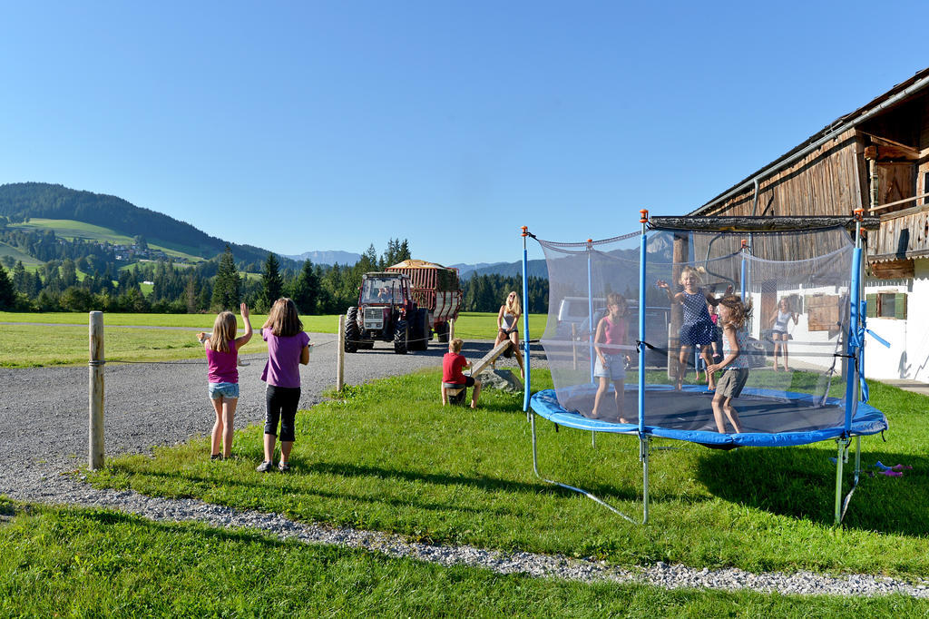 Landhaus Hinterebenhub Hopfgarten im Brixental Ngoại thất bức ảnh
